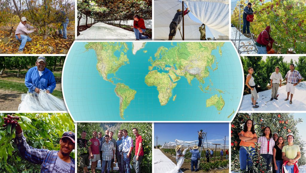 Collection of images showing farmers from around the world using Extenday products.