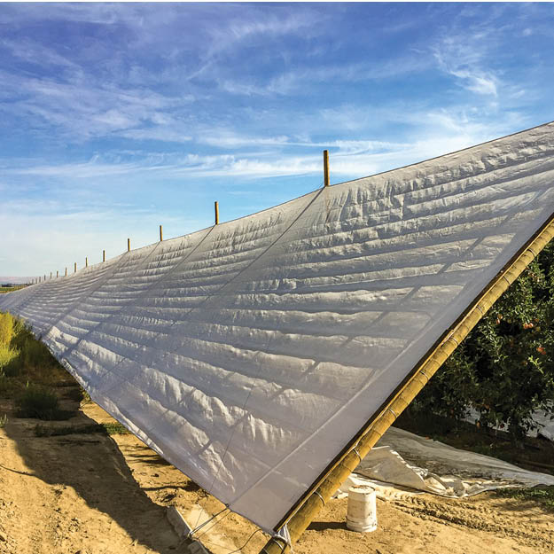 Extenday high-density knitted windbreak netting. Angled installation to divert wind flow, reducing crop scarring, fruit rub, and moisture loss in orchards