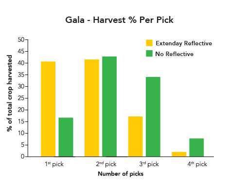 Bar graph comparing apple harvest timing. Data shows Extenday treated trees have significantly higher yield in the first pick and reduced late-season picking, demonstrating advanced and uniform maturity.
