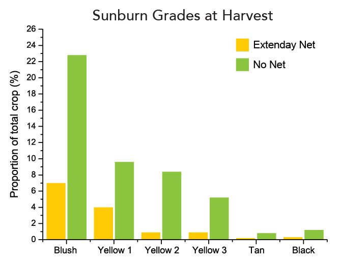 Bar graph comparing apple sunburn grades at harvest. Data demonstrates that Extenday netting significantly reduces sunburn damage compared to unprotected control groups, maximizing marketable yield.