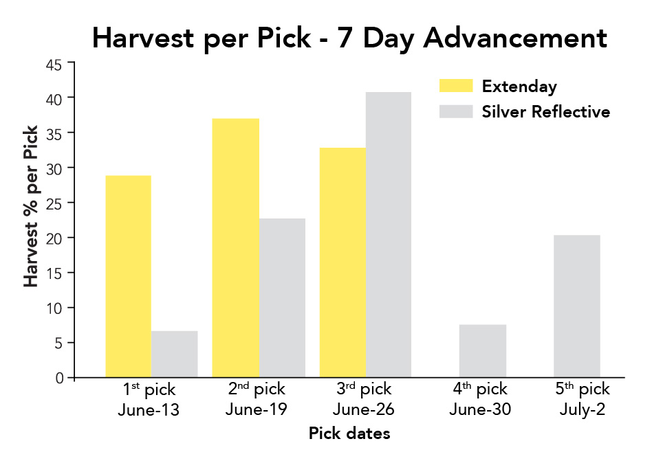 Comparative bar graph showing harvest efficiency in rainier cherries. The data shows that Extenday-treated fruit achieved full maturity in only 3 picking passes compared to 5 passes for silver mylar, representing a 7-day advancement in harvest.