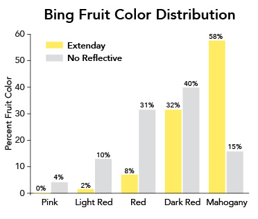 Comparative bar chart showing bing cherry color grade distribution. The data reveals that 58% of the Extenday-grown crop reached the premium Mahogany grade, compared to only 15% for the control group, demonstrating a significant increase in high-value fruit.