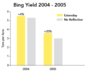 Bar graph showing a 4% first-year and 20% second-year yield increase for Bing cherries grown with Extenday reflective ground covers.