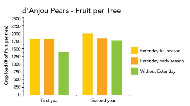 Chart comparing improved Anjou pear production over two years across full-season, part-season Extenday, and control.